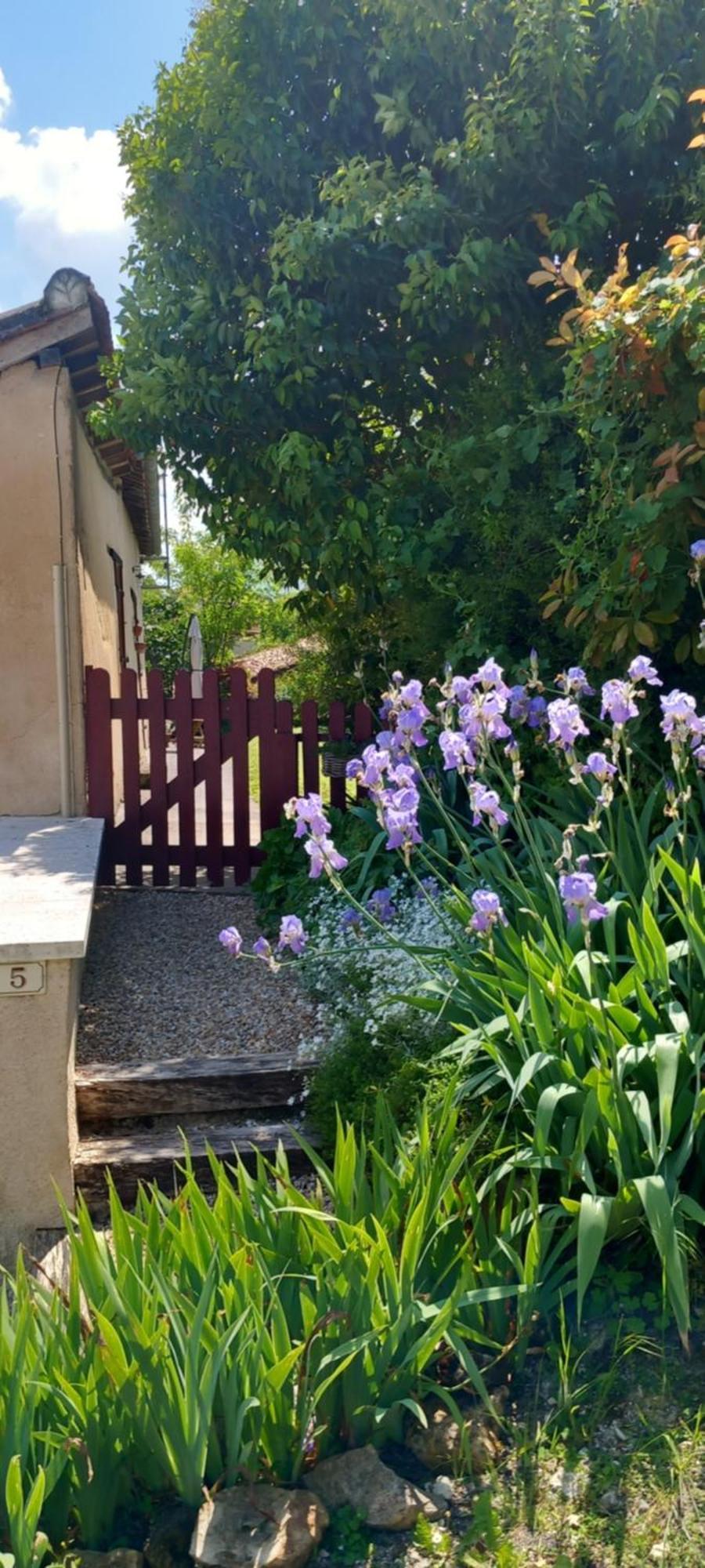 La Maison Du Tourniquet Aubeterre-sur-Dronne Dış mekan fotoğraf